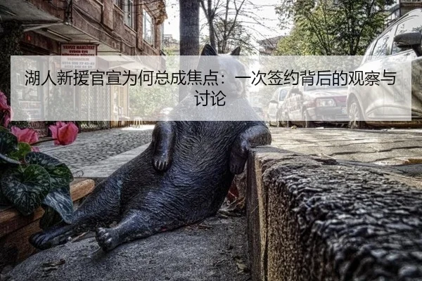 湖人新援官宣为何总成焦点：一次签约背后的观察与讨论 | kaiyun